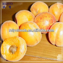 IQF apricot / frozen fruits